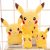 Picacho plush toy pocket Pokemon doll Pocketwholesale Bikachu Bbu Va Va